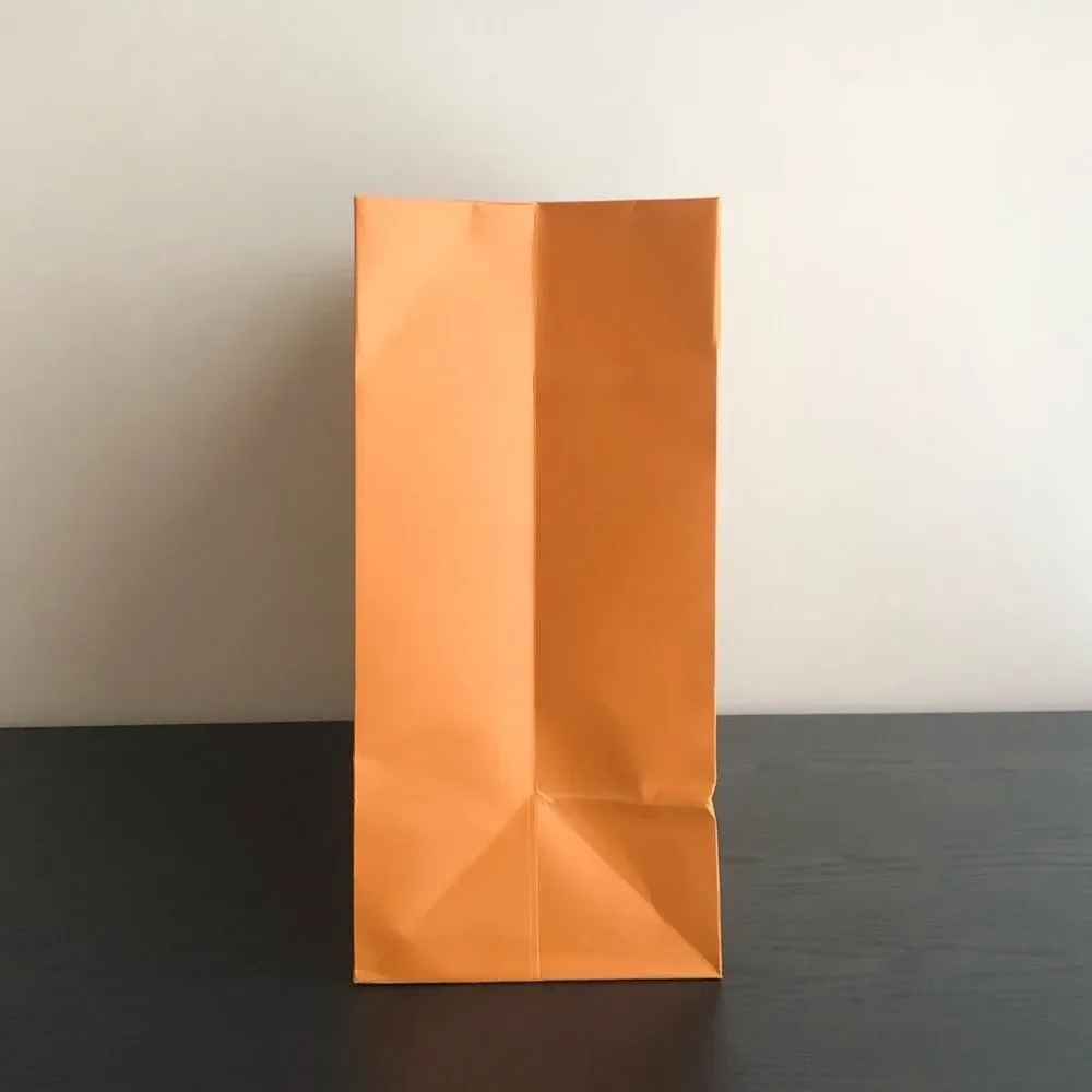 Louis Vuitton shopping bag